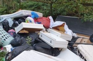 Landlord fined for allowing fly tipping